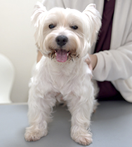 �R�{�@�����m�X�P�����