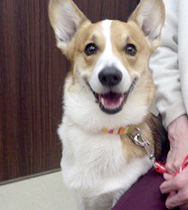 �����@�N�b�L�[�����