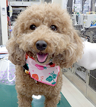 ���с@���Y�����