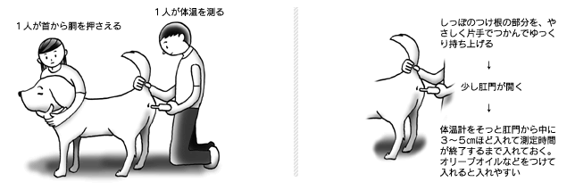 計測の仕方