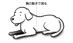 計測の仕方