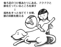 計測の仕方